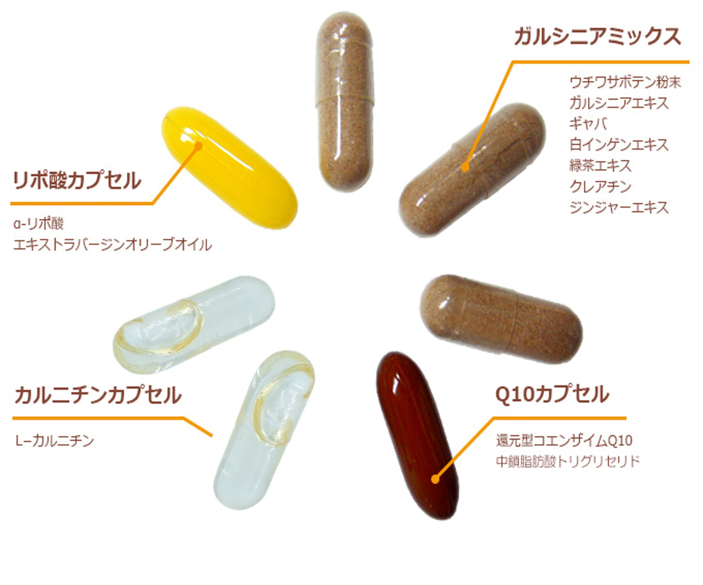 プレミアムダイエットサポート