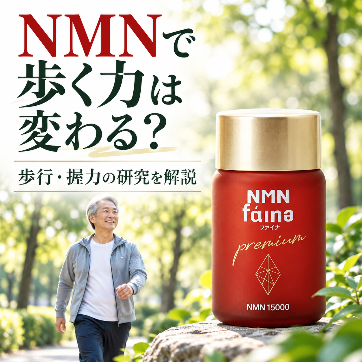 NMNとは？NAD+との関係、歩行・握力の研究を解説
