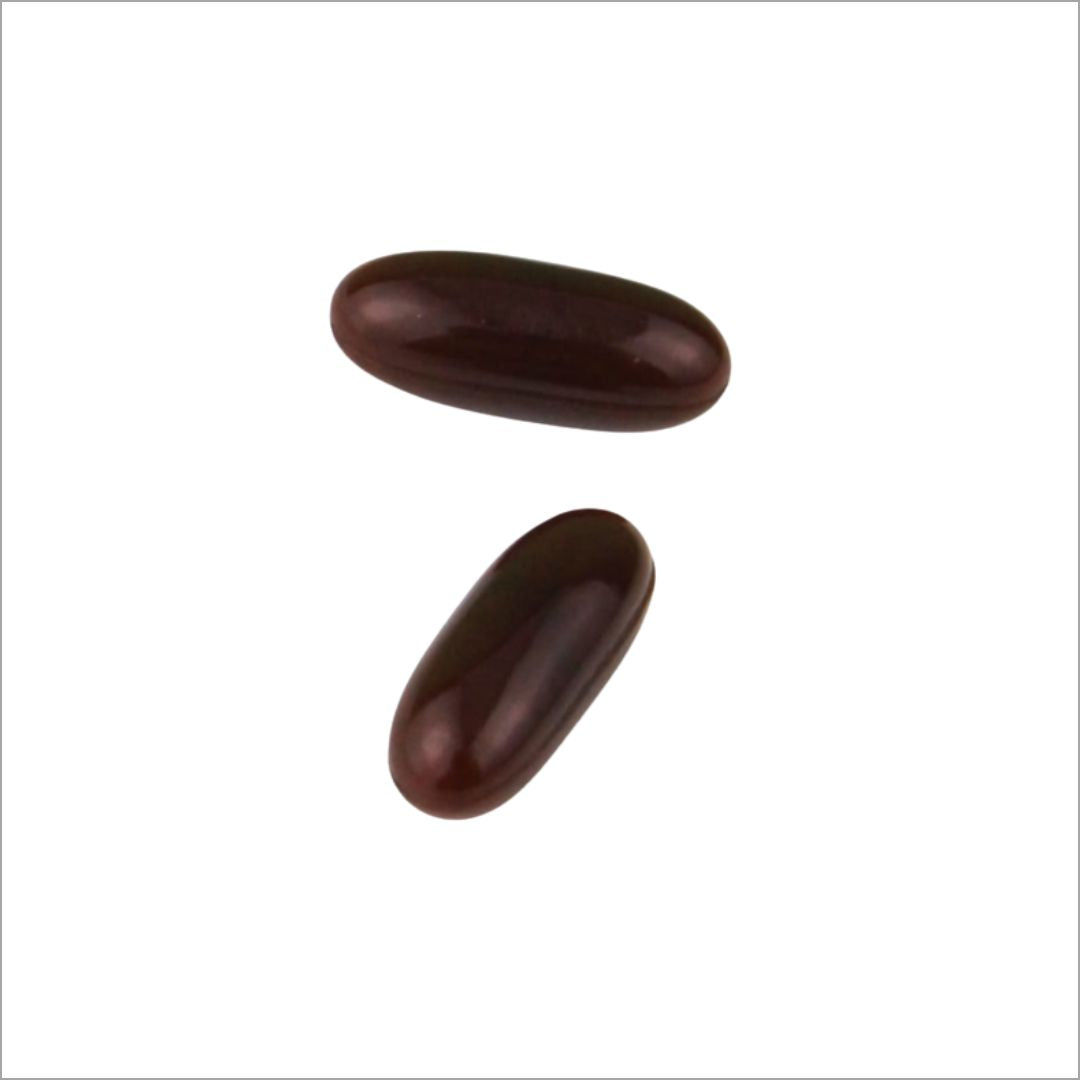 イチョウ葉＆オメガ‐３